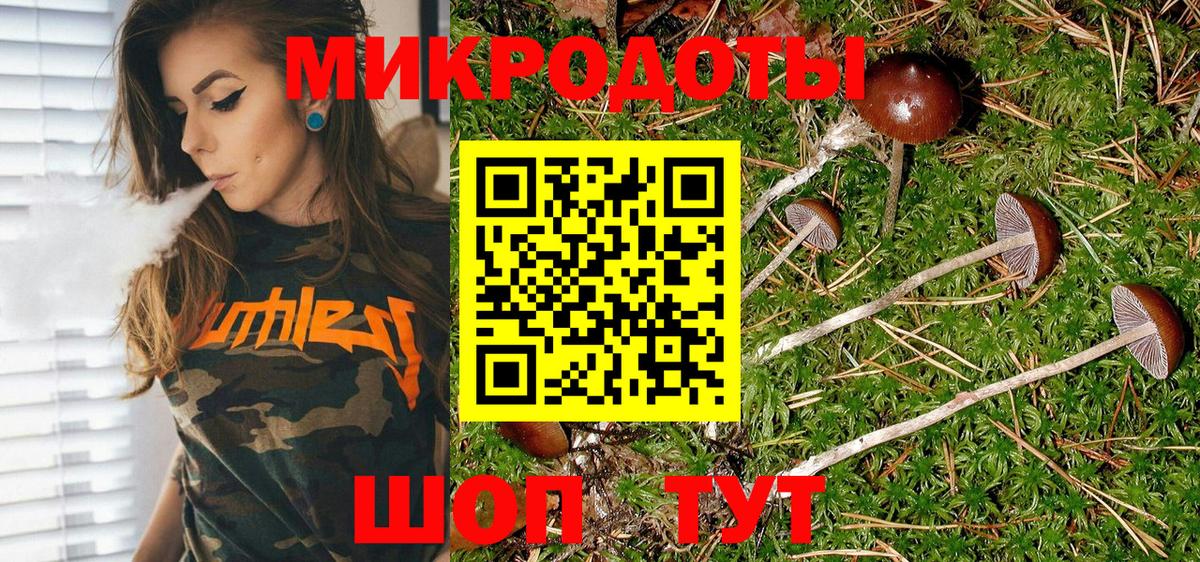 Псилоцибиновые грибы прущие грибы  Вход с VPN  Котовск 